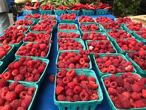 The Berry Market: A Mesmerizing Array of Tastes and Colors