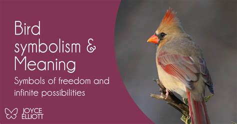 The Bird's Symbolism: Transformation and Freedom