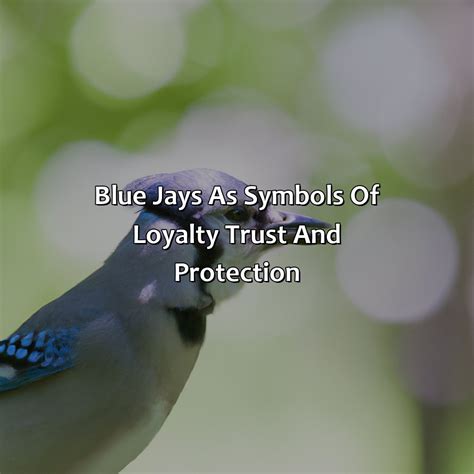 The Blue Jay as a Symbol of Protection and Communication