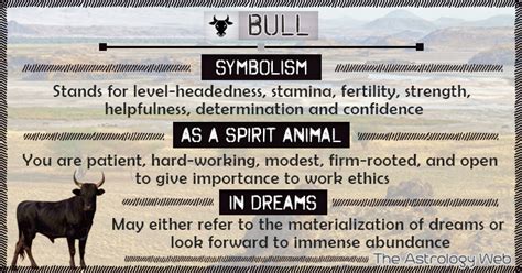 The Bull: A Symbol of Unyieldingness and Perseverance in Your Dreams