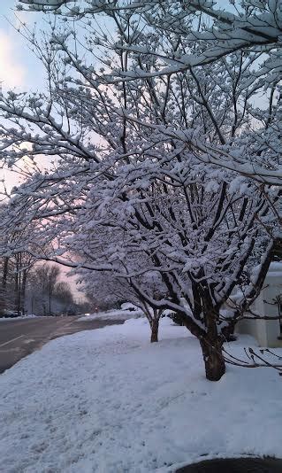 The Calming Effects of Moist Snow