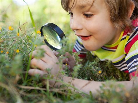 The Captivating Allure of Observing an Individual Rest