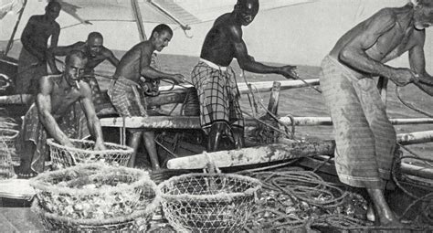 The Captivating Journey of Pearl Hunting and Trade