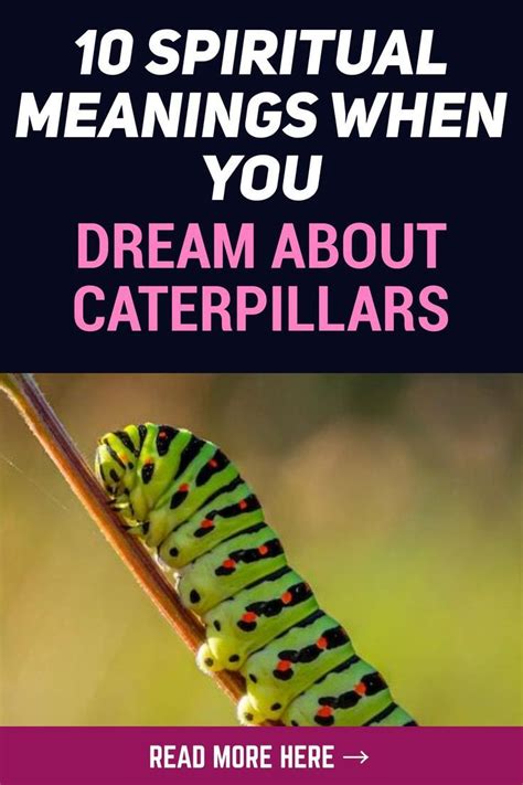 The Caterpillar as a Symbol of Patience and Perseverance