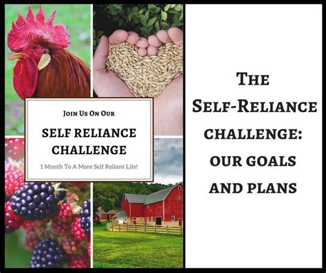 The Challenge of Self-Reliance: Confronting Obstacles Alone