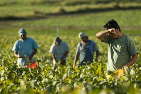 The Challenges and Rewards of Working on a Farm