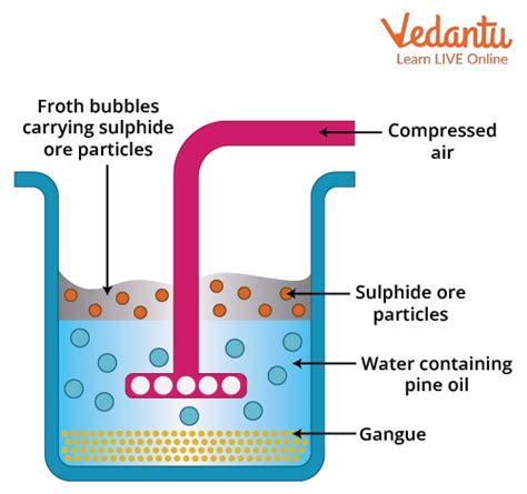 The Chemistry Behind the Froth: Unveiling the Secrets