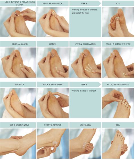 The Complete Guide to Effective Self-Massage Techniques for Relaxing and Revitalizing Your Feet