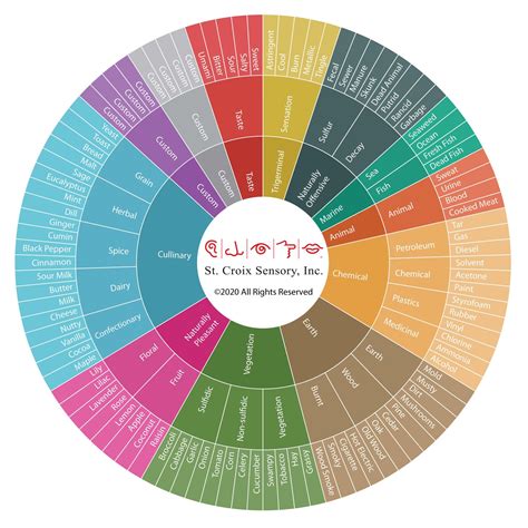 The Complex Relationship Between Odor and Emotion in the Field of Dream Psychology