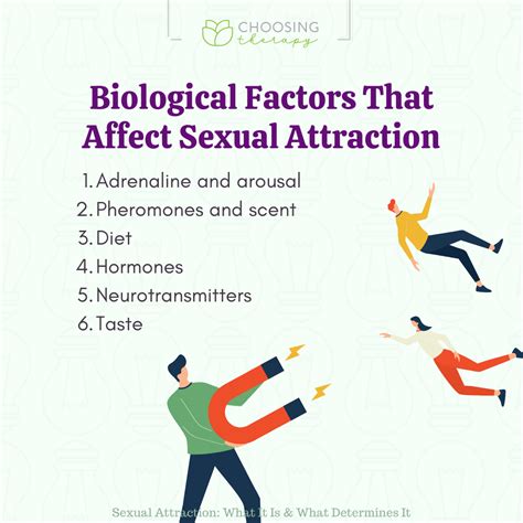 The Complex Science Behind Sexual Attraction: Exploring Biological Influences