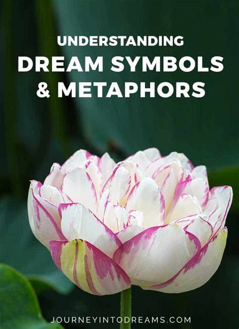 The Complex Symbolism in Dreams