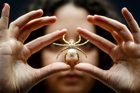 The Complexity of Symbolism in Dreams Regarding Small Spiders