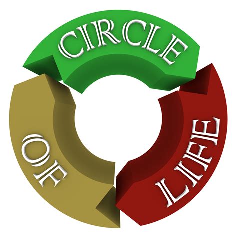 The Connection Between Circular Nuts and the Circle of Life