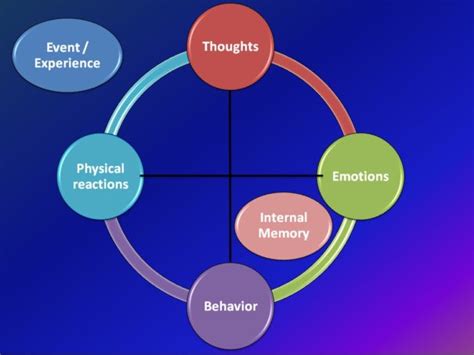 The Connection Between Dreaming and Emotional Processing