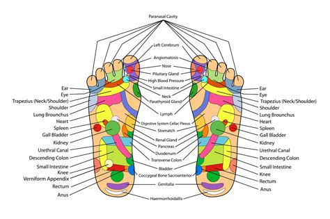 The Connection Between Feet and Our Life Path