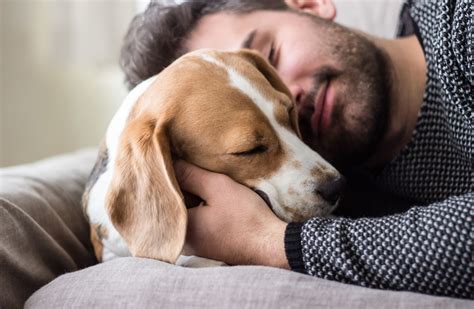 The Connection Between Humans and Pets: Unbreakable Affection