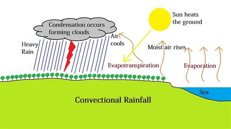 The Connection Between Moving through Torrential Downpour and the Process of Healing