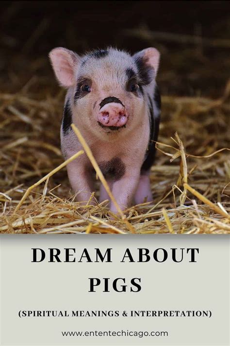 The Connection Between Pig Dreams and Financial Prosperity: Reality or Myth?