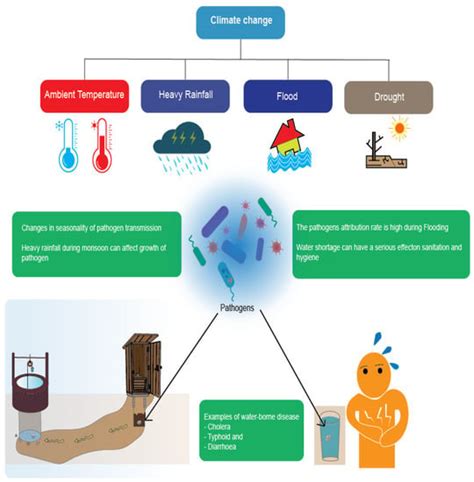 The Connection Between Sewage Pollution and Waterborne Diseases