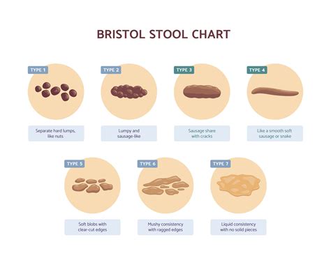 The Connection Between Stress and Dreaming of Loose Stools