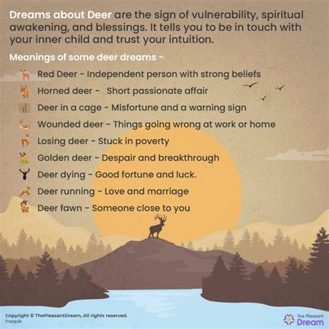 The Connection between Deer Dreams and Inner Wisdom