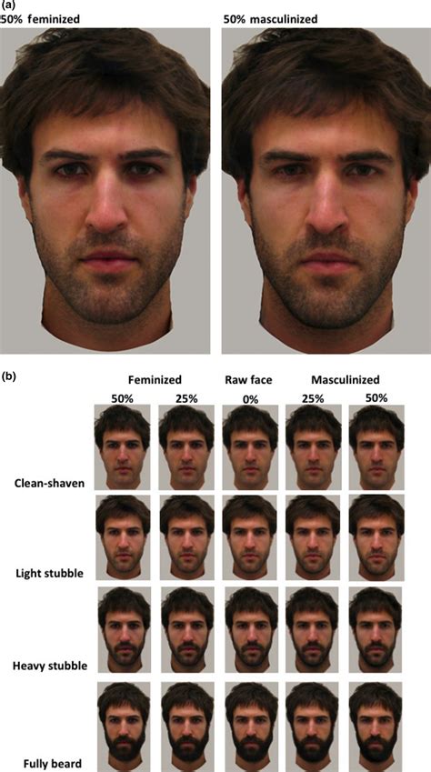 The Correlation Between Facial Hair Growth and Masculinity