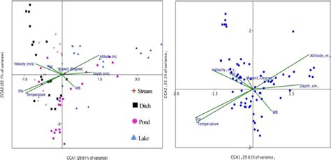 The Correlation between Ditches and Life Challenges in Dream Analysis