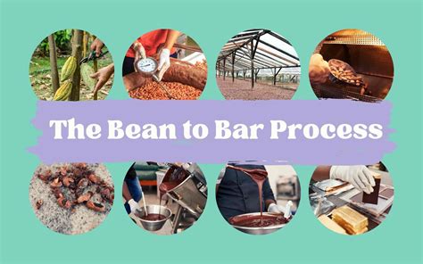 The Craft of Chocolate Production: From Bean to Bar