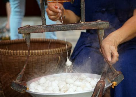 The Creation of Blush Silk: From Silkworms to Exquisite Fabric