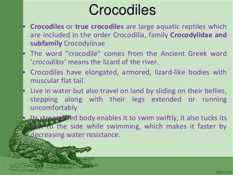 The Cultural Importance of Crocodiles