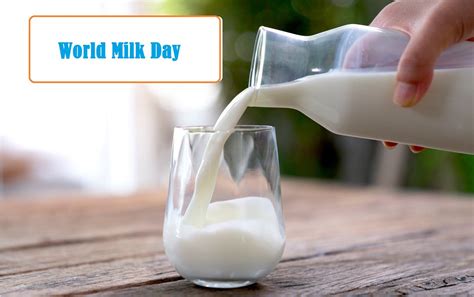 The Cultural Significance of Milk