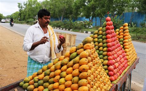 The Cultural Significance of Presenting Mangos in Hindu Temples