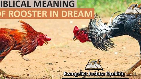 The Cultural and Historical Significance of Roosters in Dreams