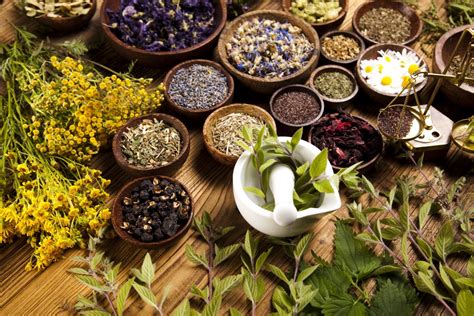 The Curative Potential of Herbal Medicine: Exploring the Remedial Bounty of Nature