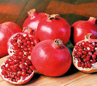 The Curative Properties and Health Benefits of the Exquisite Ruby-red Fruit