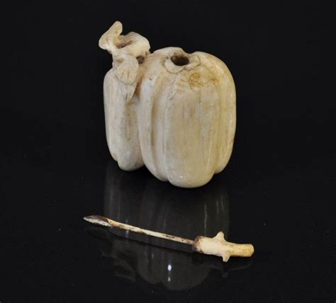 The Curative Qualities Linked with Ivory Gourds