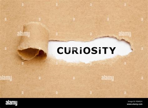 The Curiosity Behind the Desire