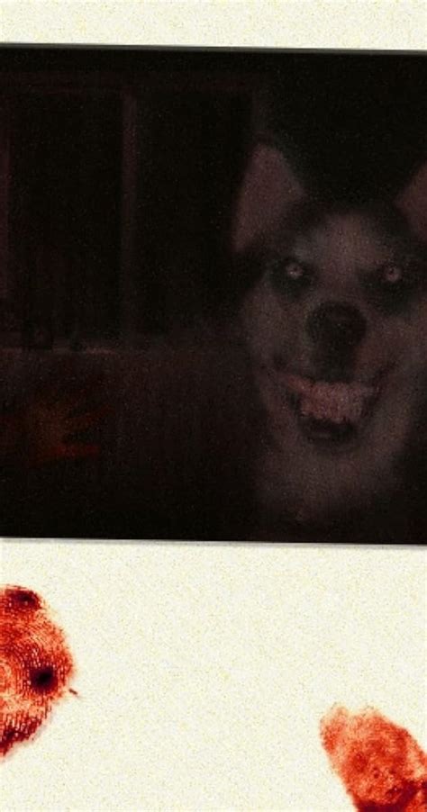 The Dark Web and Smile Dog: How the Myth Thrives in the Shadows