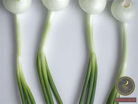 The Deeper Connection: Exploring the Symbolism of White Onions in Literature and Art