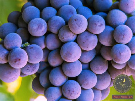 The Deeper Meaning and Influence of Grape Throwing: Unveiling the Symbolism and Cultural Significance