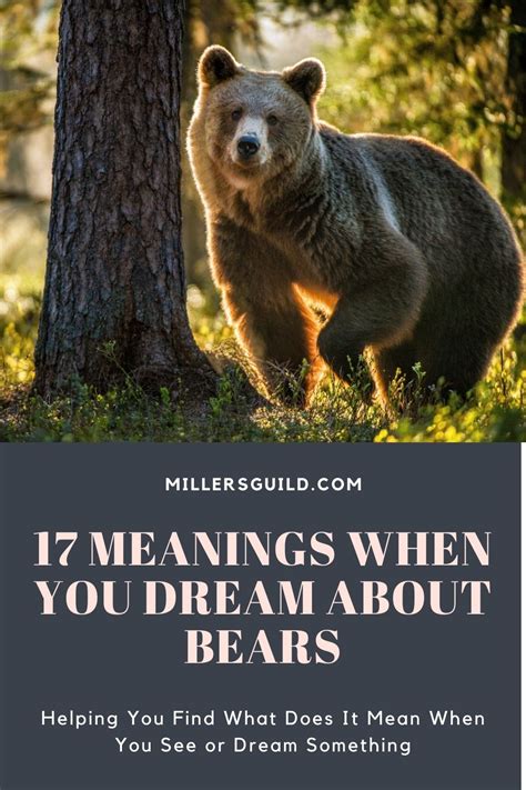 The Deeper Meaning behind Dreams of Bears