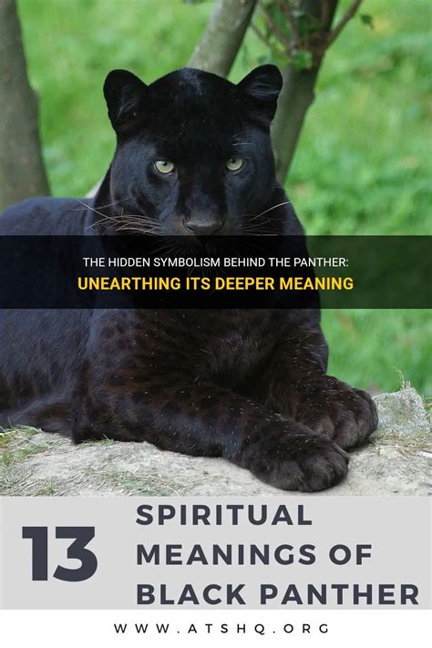 The Deeper Significance and Symbolism of an Immobile Panther: A Dive into the Interpretations and Meanings