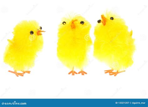 The Delight of Raising and Nurturing Tiny Chicklings