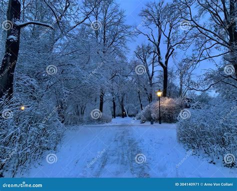 The Delight of Strolling in Snow Barefoot: An Enchanting Sensation