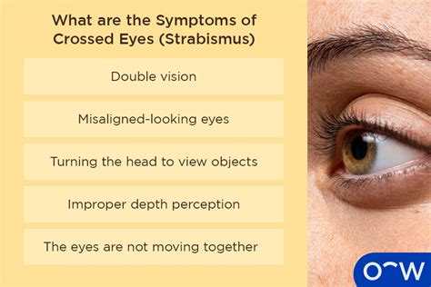 The Difficulties of Translating Vision Concerning the Cross