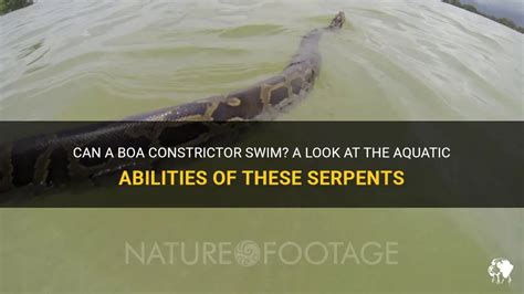 The Distinctive Physical Attributes and Abilities of Aquatic Serpents