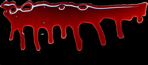 The Diverse Symbolic Meanings of Blood in the Interpretation of Dreams