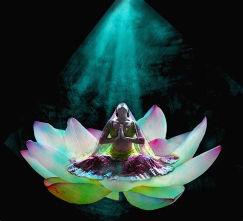 The Divine Beauty Encoded in the Emblem of the Lotus Blossom