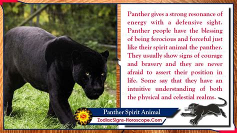 The Dream of a Lean Panther: Deciphering the Symbolism and Significance