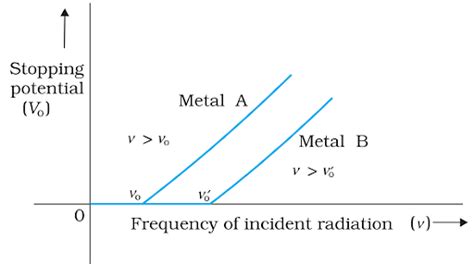 The Dual Nature: What Two Heads Represent